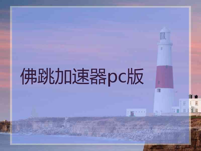佛跳加速器pc版