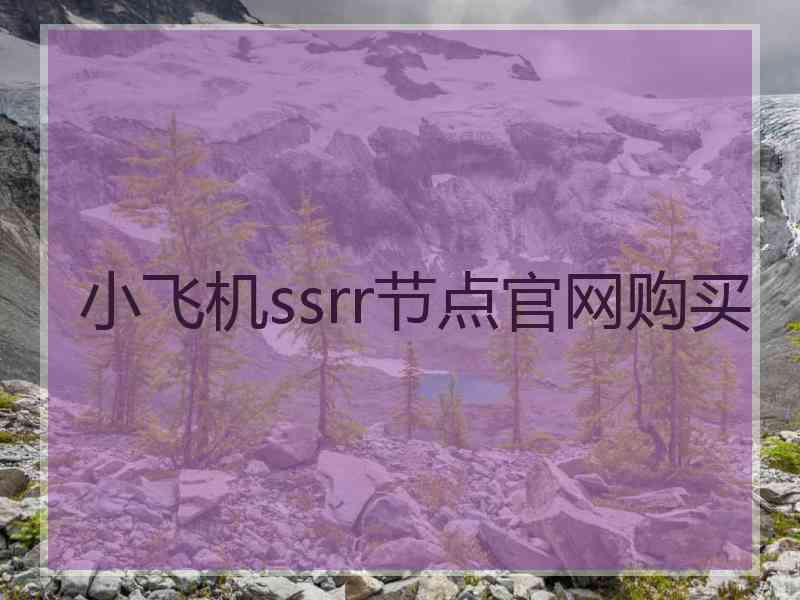 小飞机ssrr节点官网购买