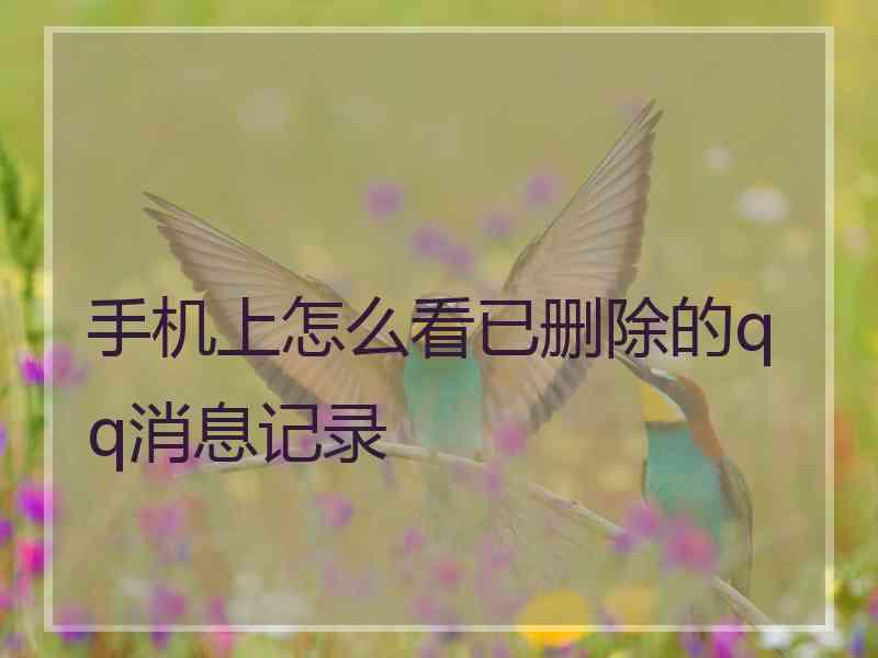 手机上怎么看已删除的qq消息记录