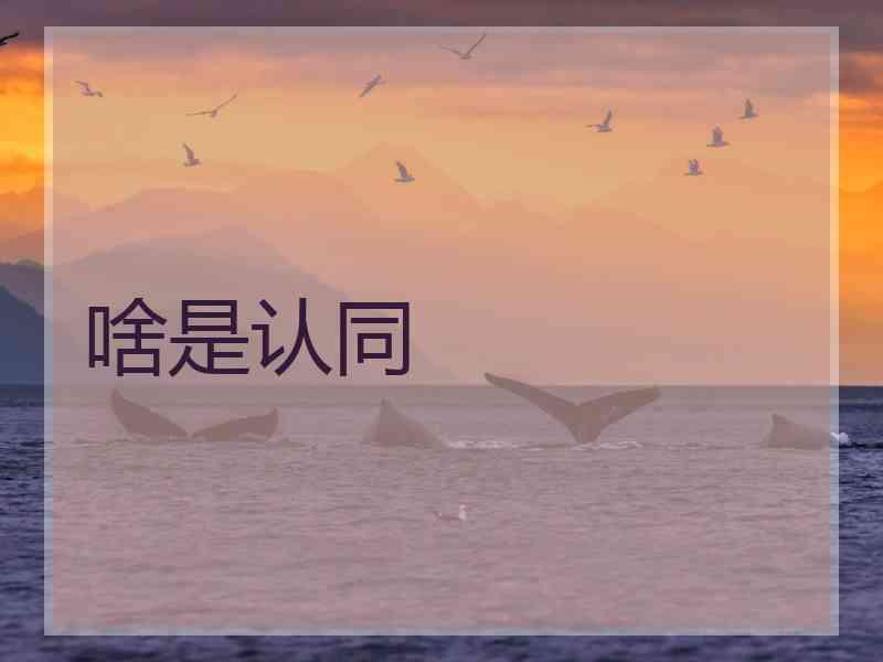 啥是认同