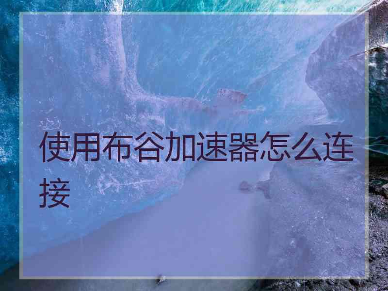 使用布谷加速器怎么连接