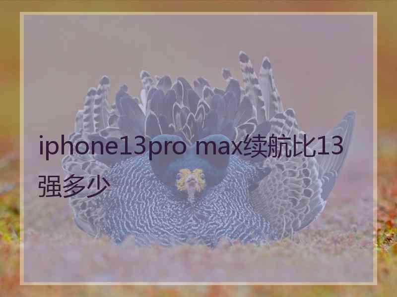 iphone13pro max续航比13强多少