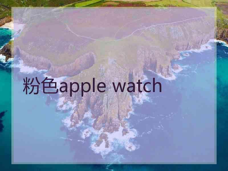 粉色apple watch