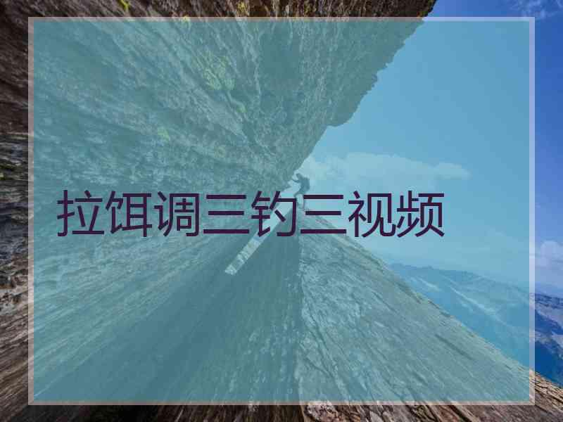 拉饵调三钓三视频