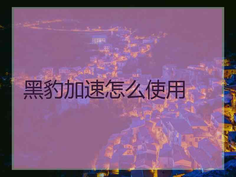 黑豹加速怎么使用