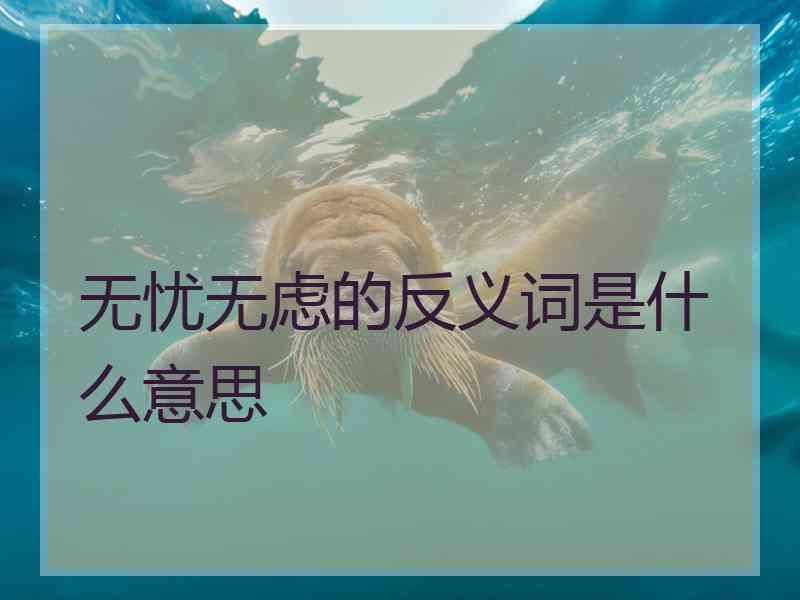 无忧无虑的反义词是什么意思
