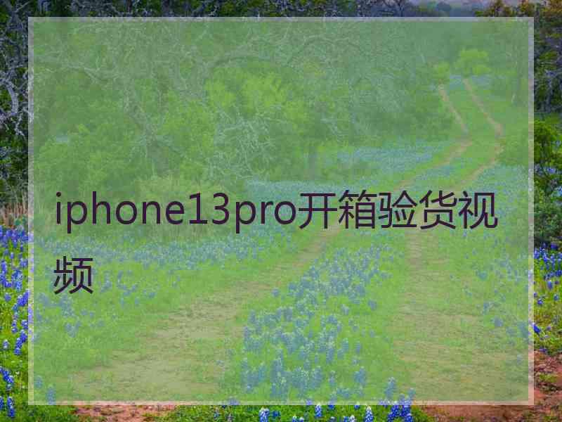 iphone13pro开箱验货视频