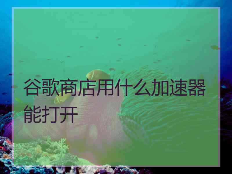 谷歌商店用什么加速器能打开