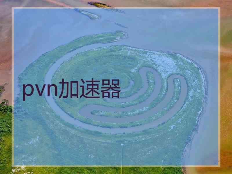 pvn加速器