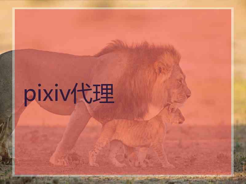 pixiv代理