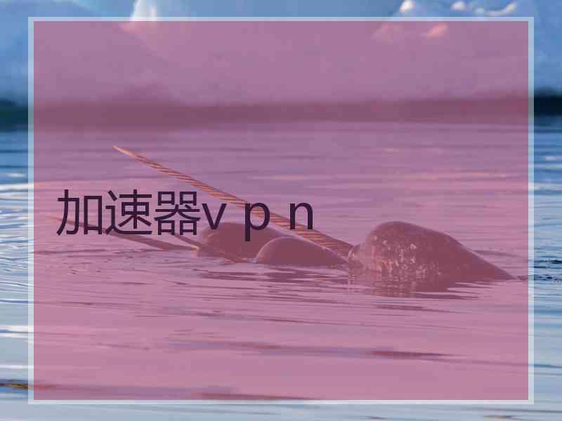 加速器v p n