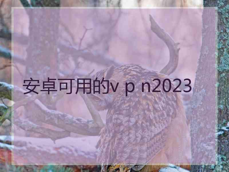 安卓可用的v p n2023