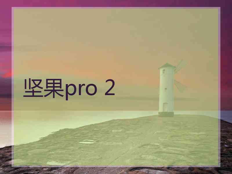 坚果pro 2