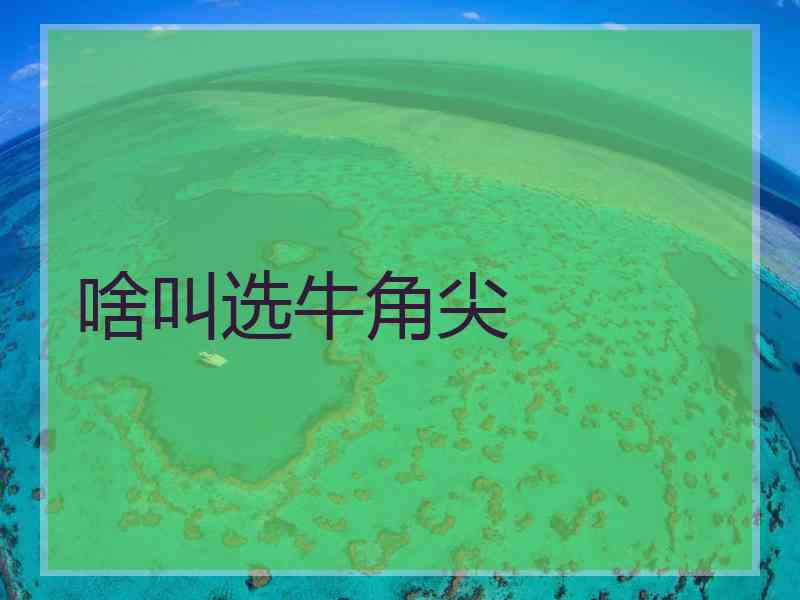 啥叫选牛角尖