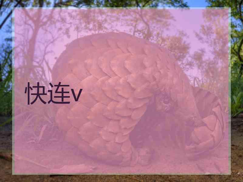 快连v