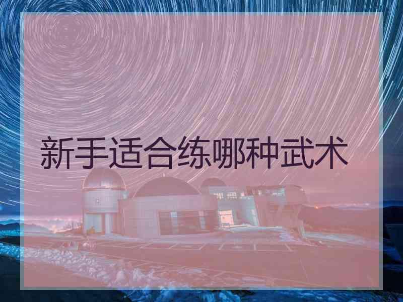 新手适合练哪种武术