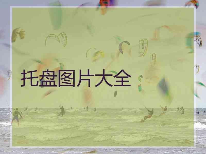 托盘图片大全