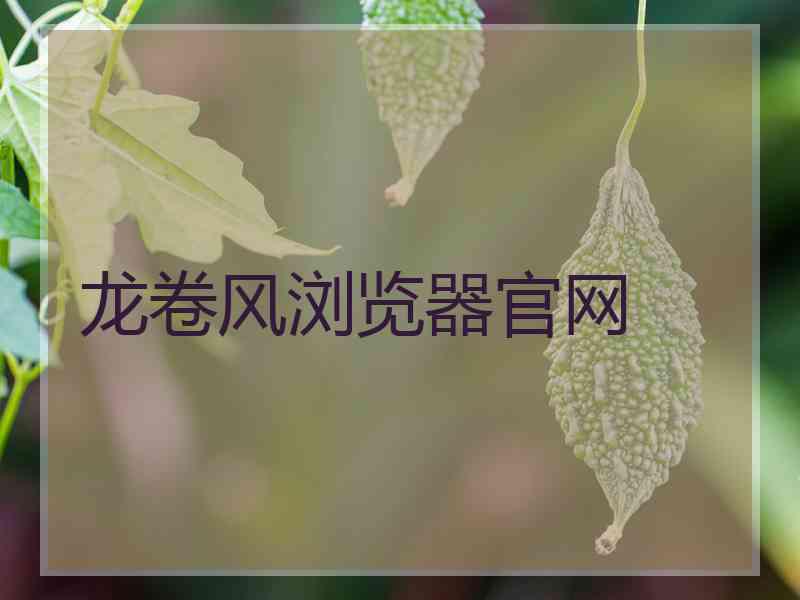 龙卷风浏览器官网