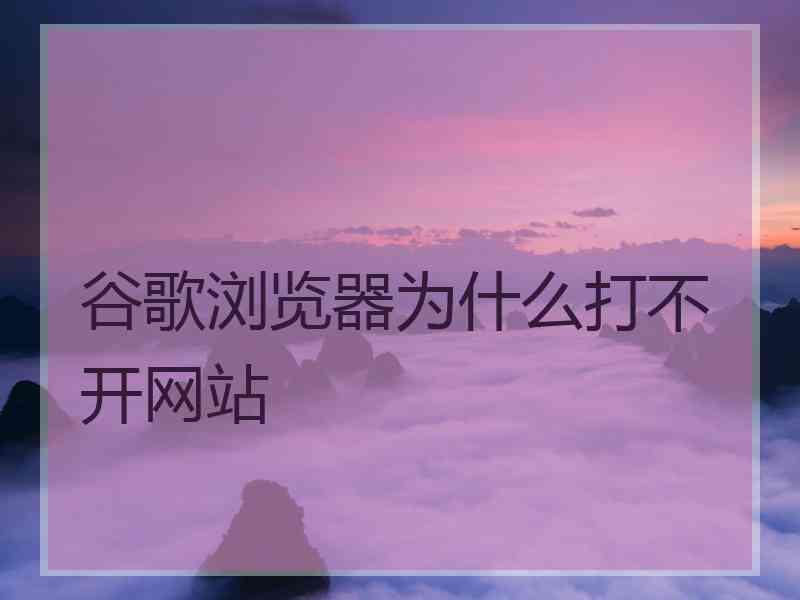 谷歌浏览器为什么打不开网站