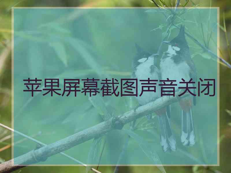 苹果屏幕截图声音关闭