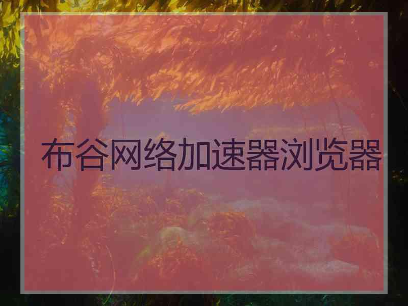 布谷网络加速器浏览器