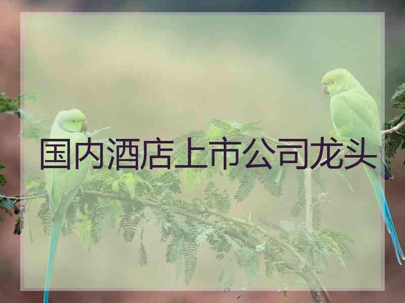 国内酒店上市公司龙头