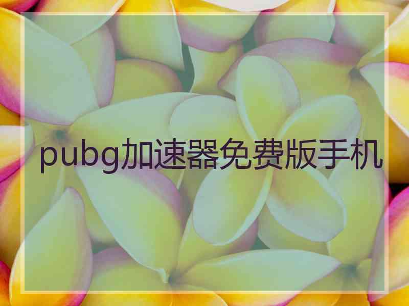 pubg加速器免费版手机