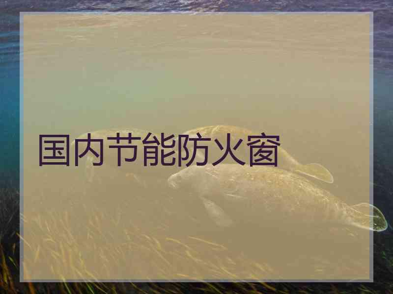 国内节能防火窗