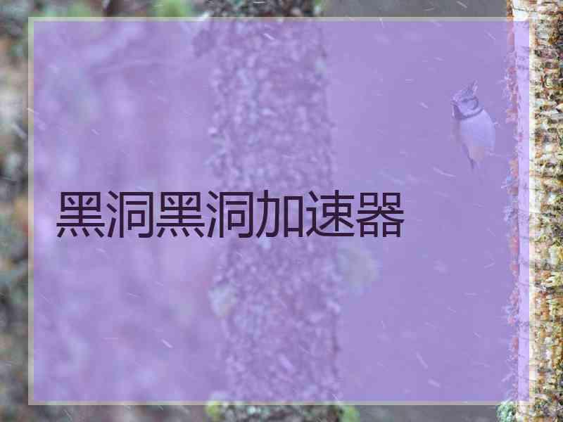 黑洞黑洞加速器