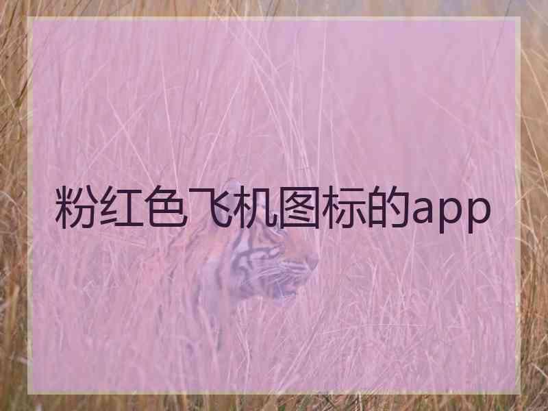 粉红色飞机图标的app