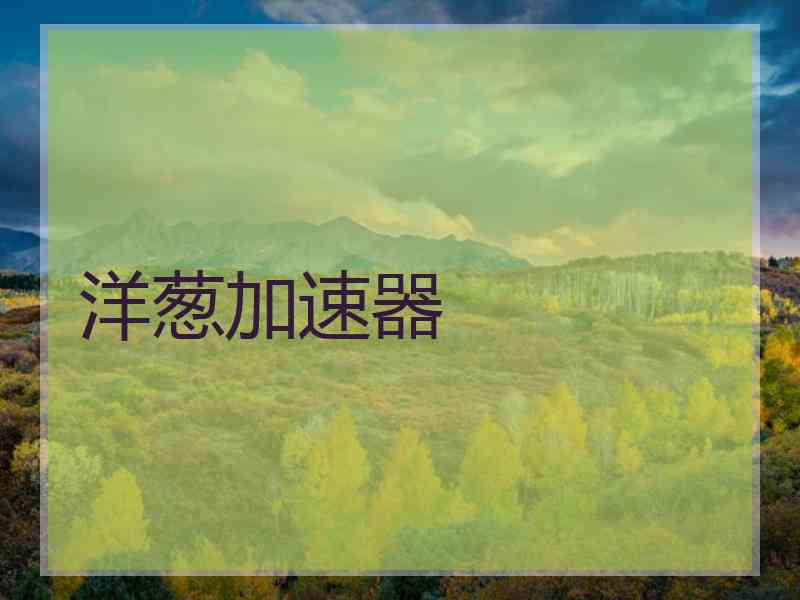 洋葱加速器