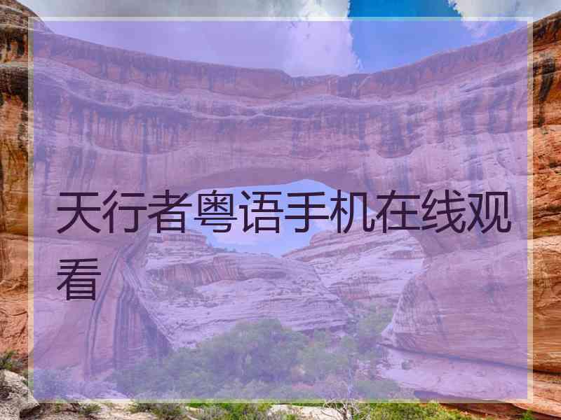 天行者粤语手机在线观看