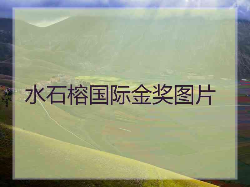 水石榕国际金奖图片