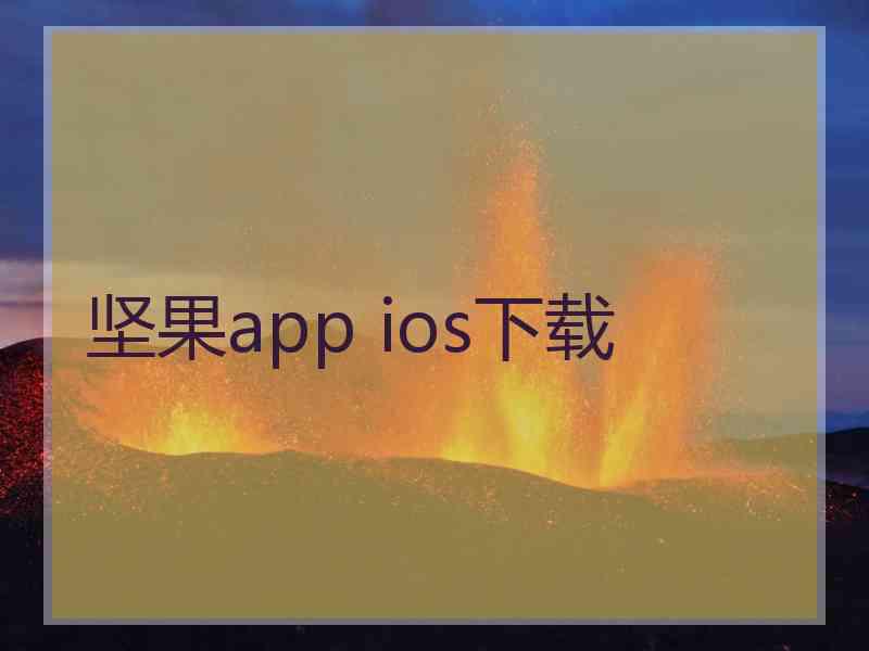 坚果app ios下载