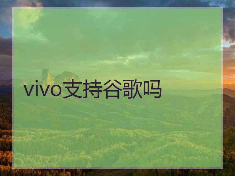 vivo支持谷歌吗