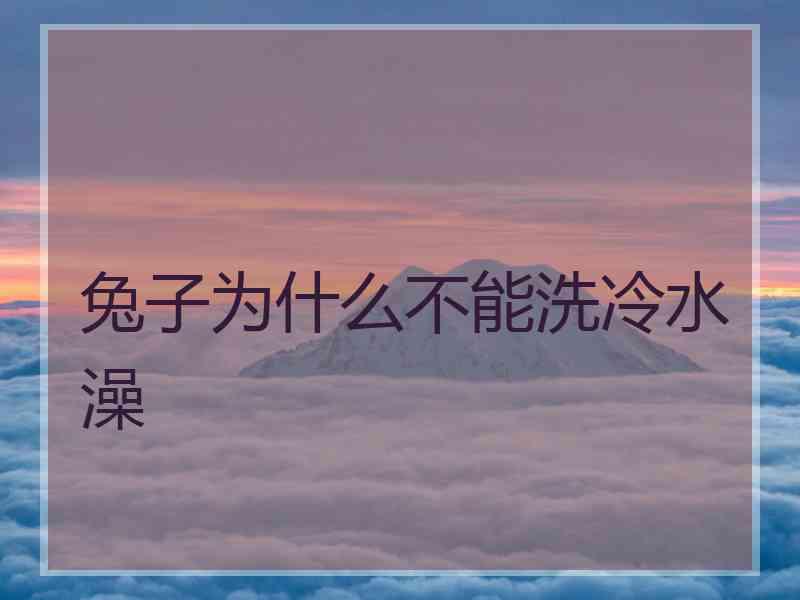 兔子为什么不能洗冷水澡