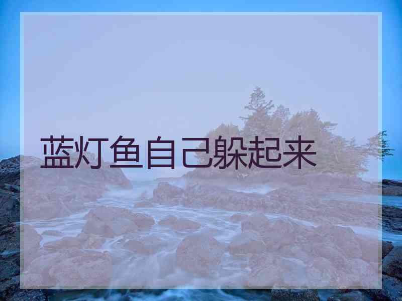 蓝灯鱼自己躲起来