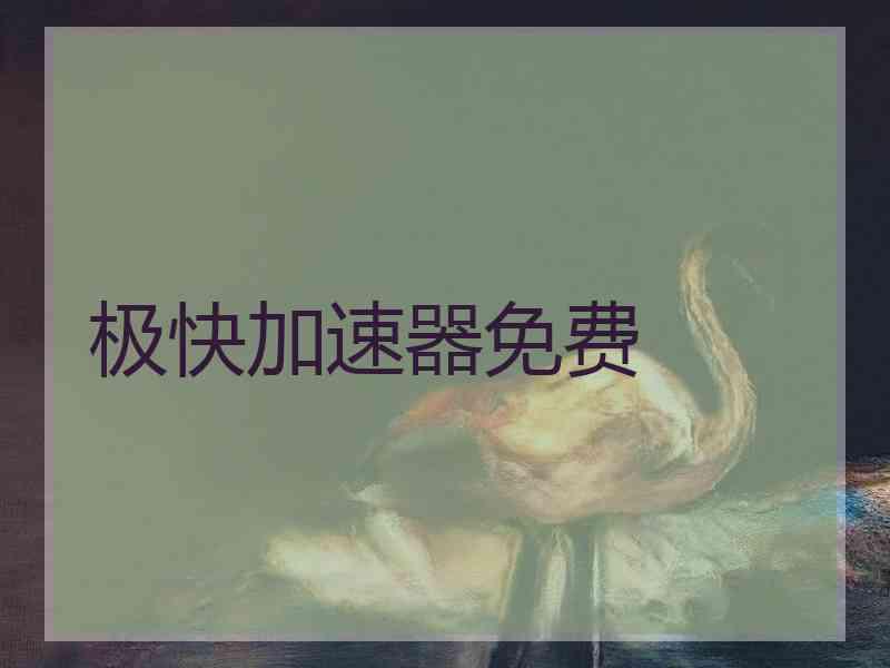 极快加速器免费