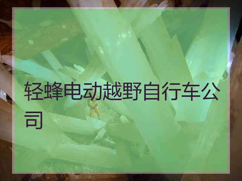 轻蜂电动越野自行车公司