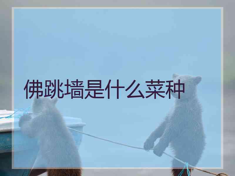 佛跳墙是什么菜种
