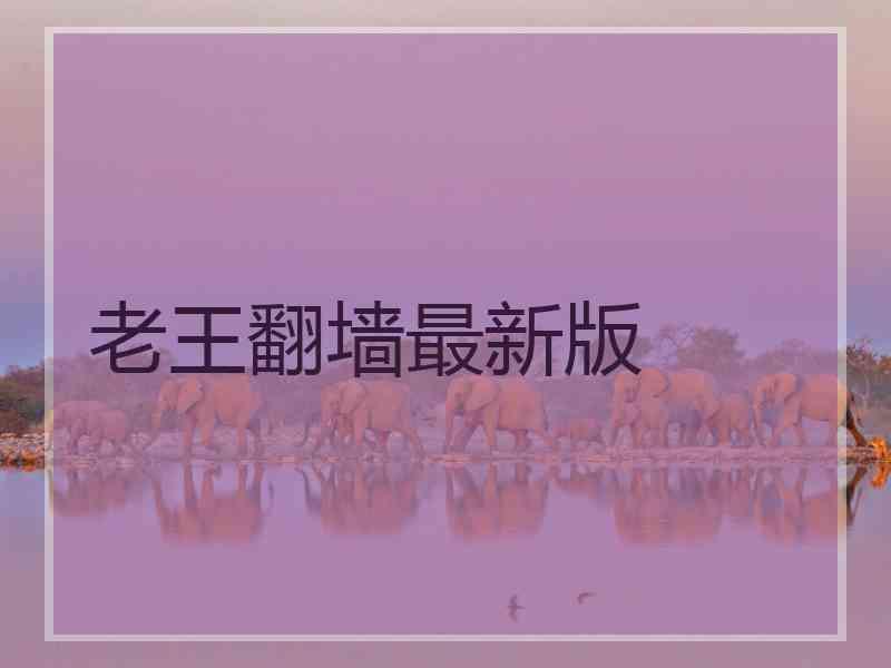 老王翻墙最新版