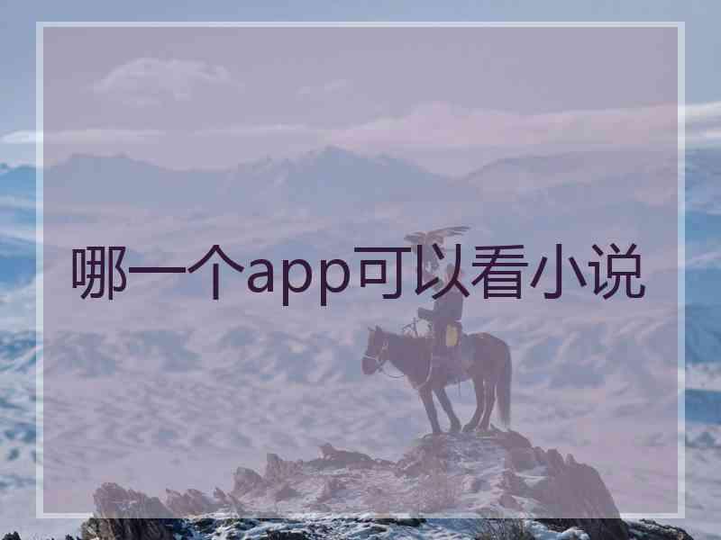 哪一个app可以看小说