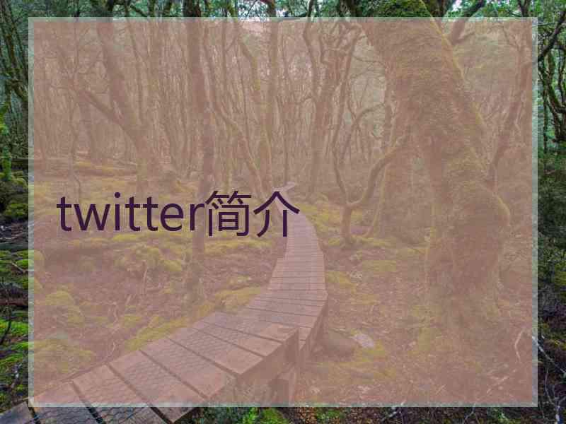 twitter简介