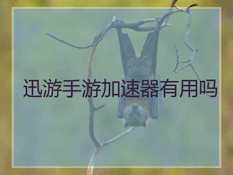 迅游手游加速器有用吗