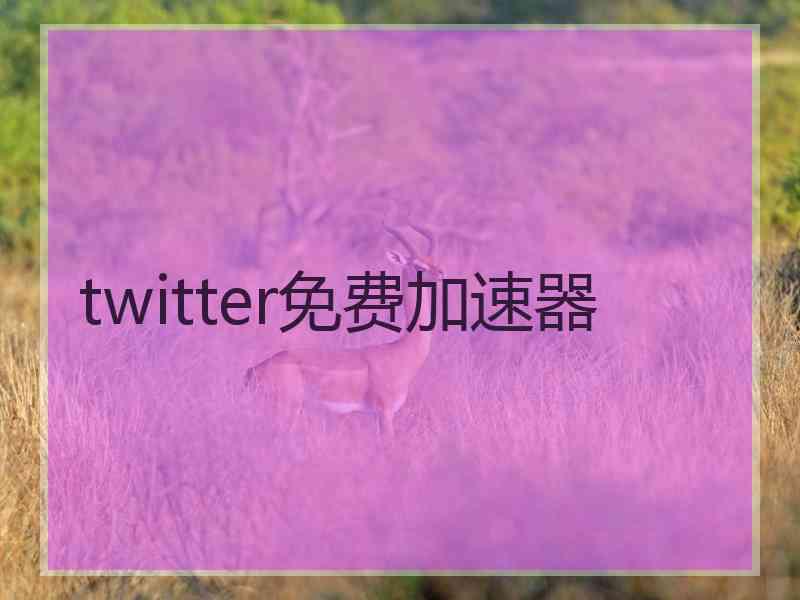 twitter免费加速器