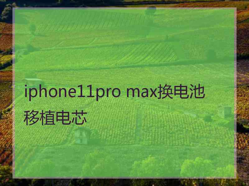 iphone11pro max换电池移植电芯
