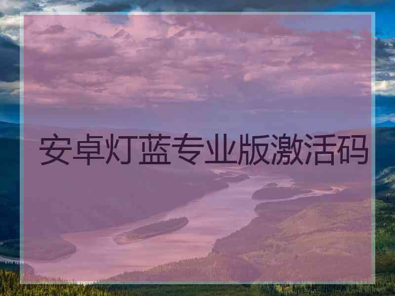 安卓灯蓝专业版激活码