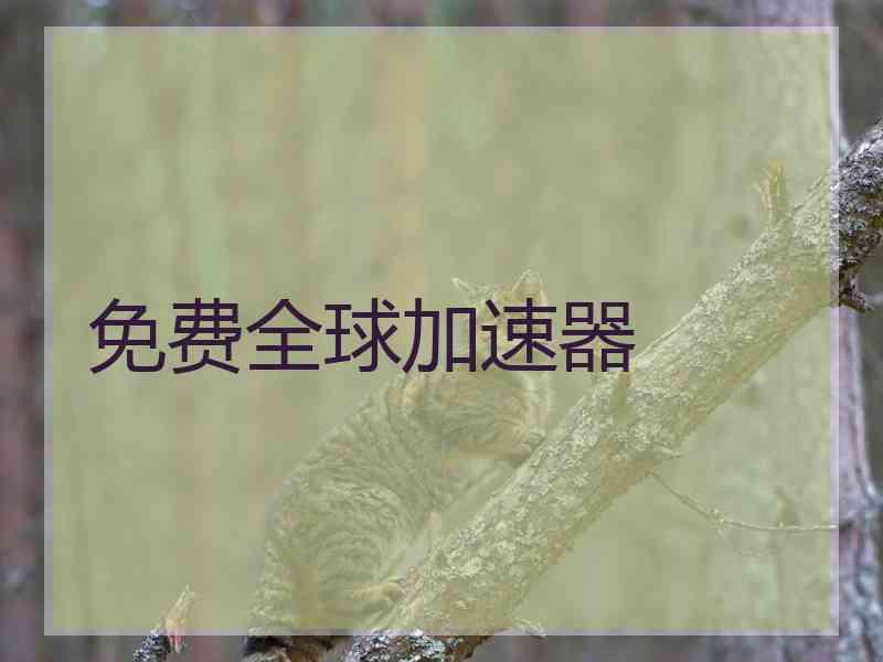 免费全球加速器