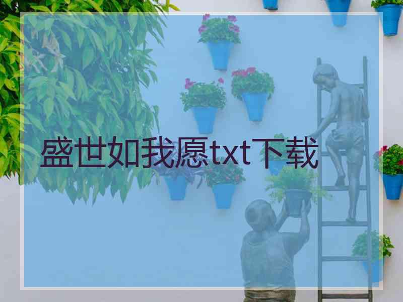 盛世如我愿txt下载