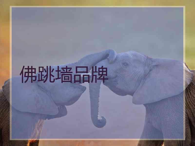 佛跳墙品牌
